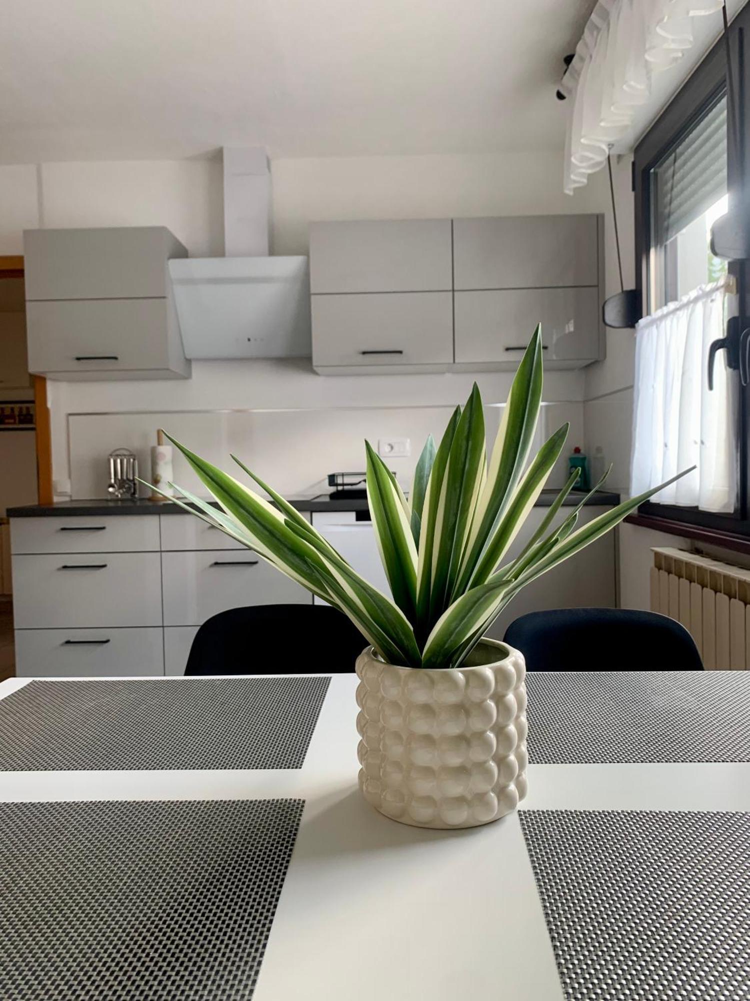 Apartma Panorama Kobarid Dış mekan fotoğraf